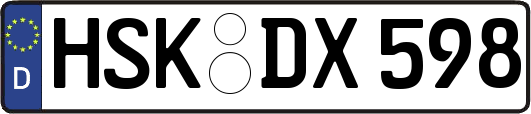 HSK-DX598