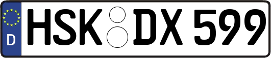 HSK-DX599