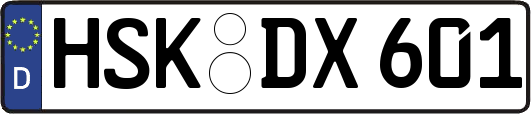 HSK-DX601