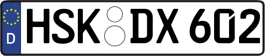 HSK-DX602