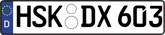 HSK-DX603