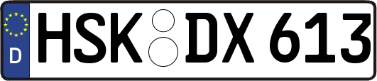 HSK-DX613