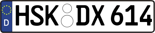 HSK-DX614
