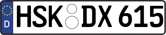 HSK-DX615