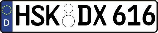 HSK-DX616