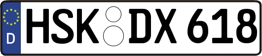 HSK-DX618