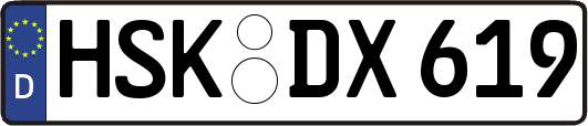 HSK-DX619
