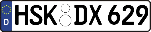 HSK-DX629