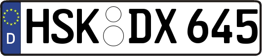 HSK-DX645