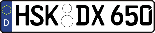 HSK-DX650