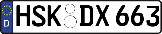 HSK-DX663