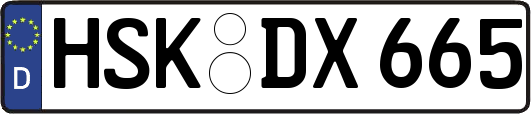 HSK-DX665