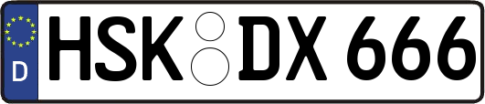 HSK-DX666
