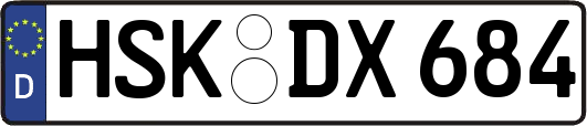 HSK-DX684