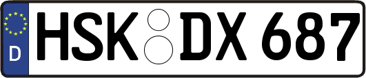 HSK-DX687