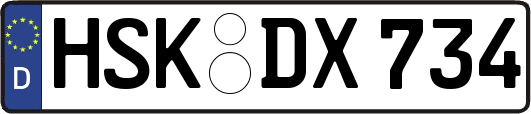 HSK-DX734