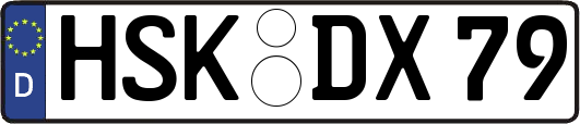 HSK-DX79