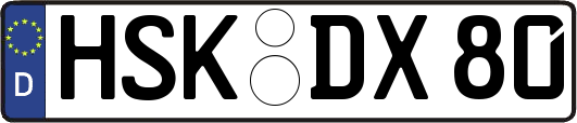 HSK-DX80