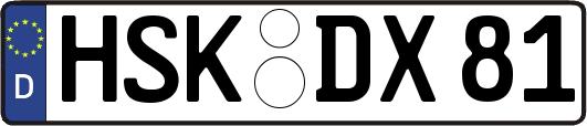 HSK-DX81