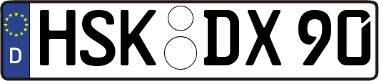 HSK-DX90