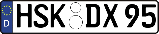 HSK-DX95