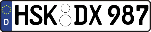 HSK-DX987