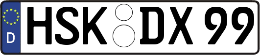 HSK-DX99