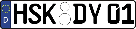 HSK-DY01