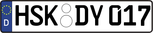 HSK-DY017