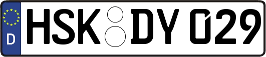 HSK-DY029