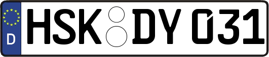 HSK-DY031