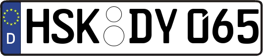 HSK-DY065