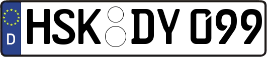 HSK-DY099
