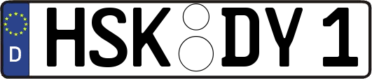 HSK-DY1