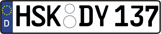 HSK-DY137