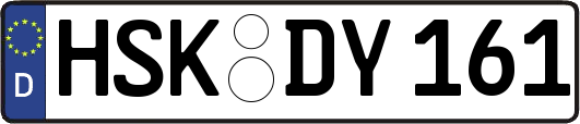 HSK-DY161