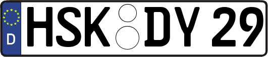 HSK-DY29