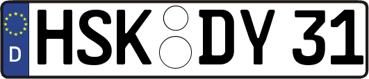 HSK-DY31