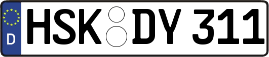 HSK-DY311