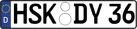 HSK-DY36