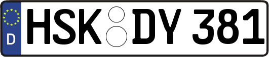 HSK-DY381
