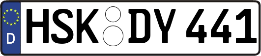HSK-DY441