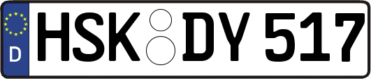HSK-DY517