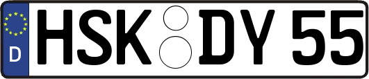HSK-DY55