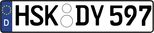 HSK-DY597