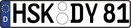 HSK-DY81
