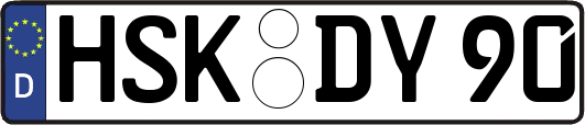 HSK-DY90