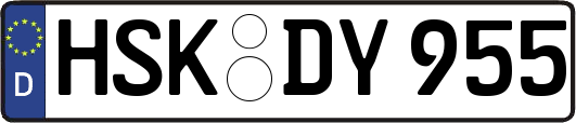 HSK-DY955