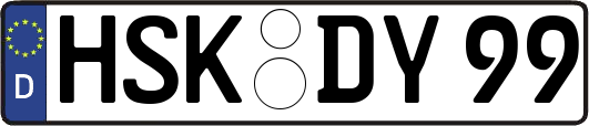 HSK-DY99