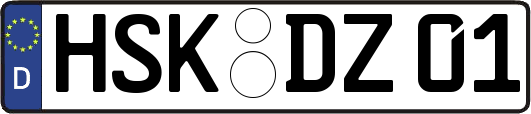HSK-DZ01